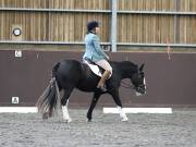 Image 226 in DRESSAGE AT WORLD HORSE WELFARE. 5TH OCTOBER 2019
