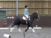 Image 227 in DRESSAGE AT WORLD HORSE WELFARE. 5TH OCTOBER 2019
