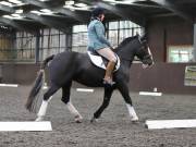 Image 228 in DRESSAGE AT WORLD HORSE WELFARE. 5TH OCTOBER 2019