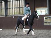 Image 230 in DRESSAGE AT WORLD HORSE WELFARE. 5TH OCTOBER 2019