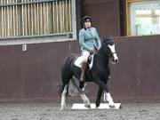 Image 233 in DRESSAGE AT WORLD HORSE WELFARE. 5TH OCTOBER 2019