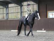 Image 236 in DRESSAGE AT WORLD HORSE WELFARE. 5TH OCTOBER 2019