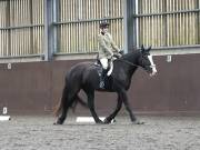 Image 237 in DRESSAGE AT WORLD HORSE WELFARE. 5TH OCTOBER 2019