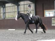 Image 238 in DRESSAGE AT WORLD HORSE WELFARE. 5TH OCTOBER 2019