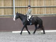 Image 239 in DRESSAGE AT WORLD HORSE WELFARE. 5TH OCTOBER 2019