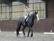 Image 241 in DRESSAGE AT WORLD HORSE WELFARE. 5TH OCTOBER 2019