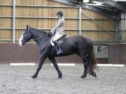 Image 243 in DRESSAGE AT WORLD HORSE WELFARE. 5TH OCTOBER 2019