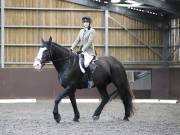 Image 244 in DRESSAGE AT WORLD HORSE WELFARE. 5TH OCTOBER 2019