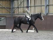 Image 245 in DRESSAGE AT WORLD HORSE WELFARE. 5TH OCTOBER 2019
