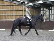 Image 247 in DRESSAGE AT WORLD HORSE WELFARE. 5TH OCTOBER 2019