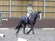 Image 248 in DRESSAGE AT WORLD HORSE WELFARE. 5TH OCTOBER 2019