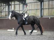Image 249 in DRESSAGE AT WORLD HORSE WELFARE. 5TH OCTOBER 2019