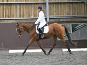Image 25 in DRESSAGE AT WORLD HORSE WELFARE. 5TH OCTOBER 2019