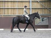Image 258 in DRESSAGE AT WORLD HORSE WELFARE. 5TH OCTOBER 2019