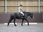 Image 263 in DRESSAGE AT WORLD HORSE WELFARE. 5TH OCTOBER 2019