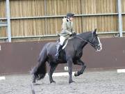 Image 267 in DRESSAGE AT WORLD HORSE WELFARE. 5TH OCTOBER 2019