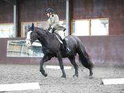 Image 269 in DRESSAGE AT WORLD HORSE WELFARE. 5TH OCTOBER 2019