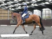 Image 272 in DRESSAGE AT WORLD HORSE WELFARE. 5TH OCTOBER 2019