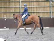 Image 274 in DRESSAGE AT WORLD HORSE WELFARE. 5TH OCTOBER 2019