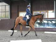 Image 275 in DRESSAGE AT WORLD HORSE WELFARE. 5TH OCTOBER 2019