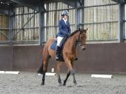 Image 278 in DRESSAGE AT WORLD HORSE WELFARE. 5TH OCTOBER 2019