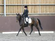 Image 29 in DRESSAGE AT WORLD HORSE WELFARE. 5TH OCTOBER 2019