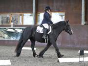 Image 30 in DRESSAGE AT WORLD HORSE WELFARE. 5TH OCTOBER 2019