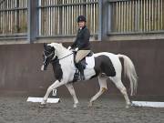 Image 38 in DRESSAGE AT WORLD HORSE WELFARE. 5TH OCTOBER 2019