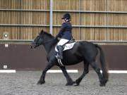 Image 42 in DRESSAGE AT WORLD HORSE WELFARE. 5TH OCTOBER 2019