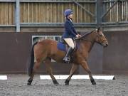 Image 5 in DRESSAGE AT WORLD HORSE WELFARE. 5TH OCTOBER 2019