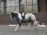 Image 53 in DRESSAGE AT WORLD HORSE WELFARE. 5TH OCTOBER 2019