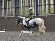 Image 58 in DRESSAGE AT WORLD HORSE WELFARE. 5TH OCTOBER 2019