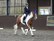Image 75 in DRESSAGE AT WORLD HORSE WELFARE. 5TH OCTOBER 2019
