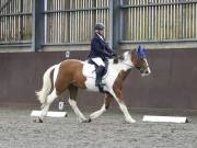 Image 82 in DRESSAGE AT WORLD HORSE WELFARE. 5TH OCTOBER 2019