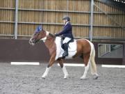 Image 86 in DRESSAGE AT WORLD HORSE WELFARE. 5TH OCTOBER 2019