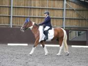 Image 86 in DRESSAGE AT WORLD HORSE WELFARE. 5TH OCTOBER 2019