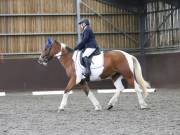 Image 87 in DRESSAGE AT WORLD HORSE WELFARE. 5TH OCTOBER 2019