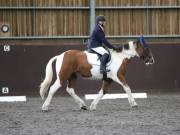 Image 91 in DRESSAGE AT WORLD HORSE WELFARE. 5TH OCTOBER 2019