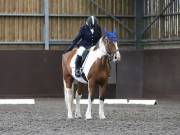 Image 92 in DRESSAGE AT WORLD HORSE WELFARE. 5TH OCTOBER 2019