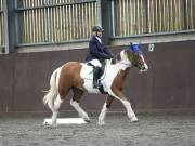 Image 94 in DRESSAGE AT WORLD HORSE WELFARE. 5TH OCTOBER 2019