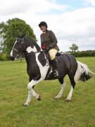 Image 1 in BERGH APTON HORSE SHOW.