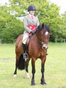 Image 10 in BERGH APTON HORSE SHOW.