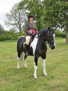 Image 18 in BERGH APTON HORSE SHOW.