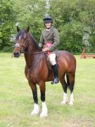 Image 7 in BERGH APTON HORSE SHOW.