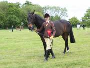 Image 9 in BERGH APTON HORSE SHOW.