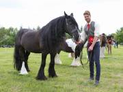 Image 10 in BERGH APTON HORSE SHOW.