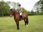 Image 13 in BERGH APTON HORSE SHOW.