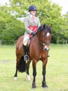 Image 6 in BERGH APTON HORSE SHOW.