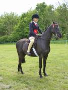 Image 8 in BERGH APTON HORSE SHOW.