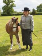 Image 1 in BERGH  APTON  HORSE  SHOW.  PART  TWO.